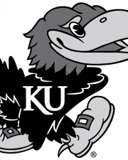 Jayhawk Image