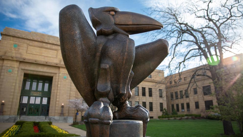 jayhawk