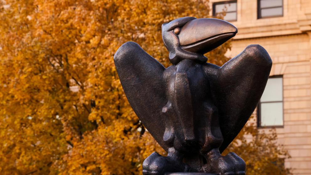 Bronze Jayhawk Statue with a background of a tree with fall leaves